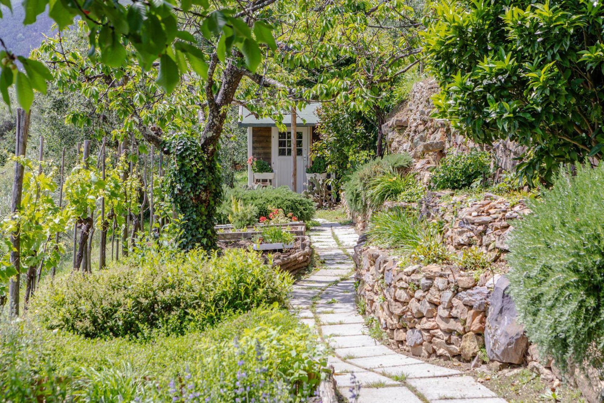 Villa Sii Felice Buti 외부 사진