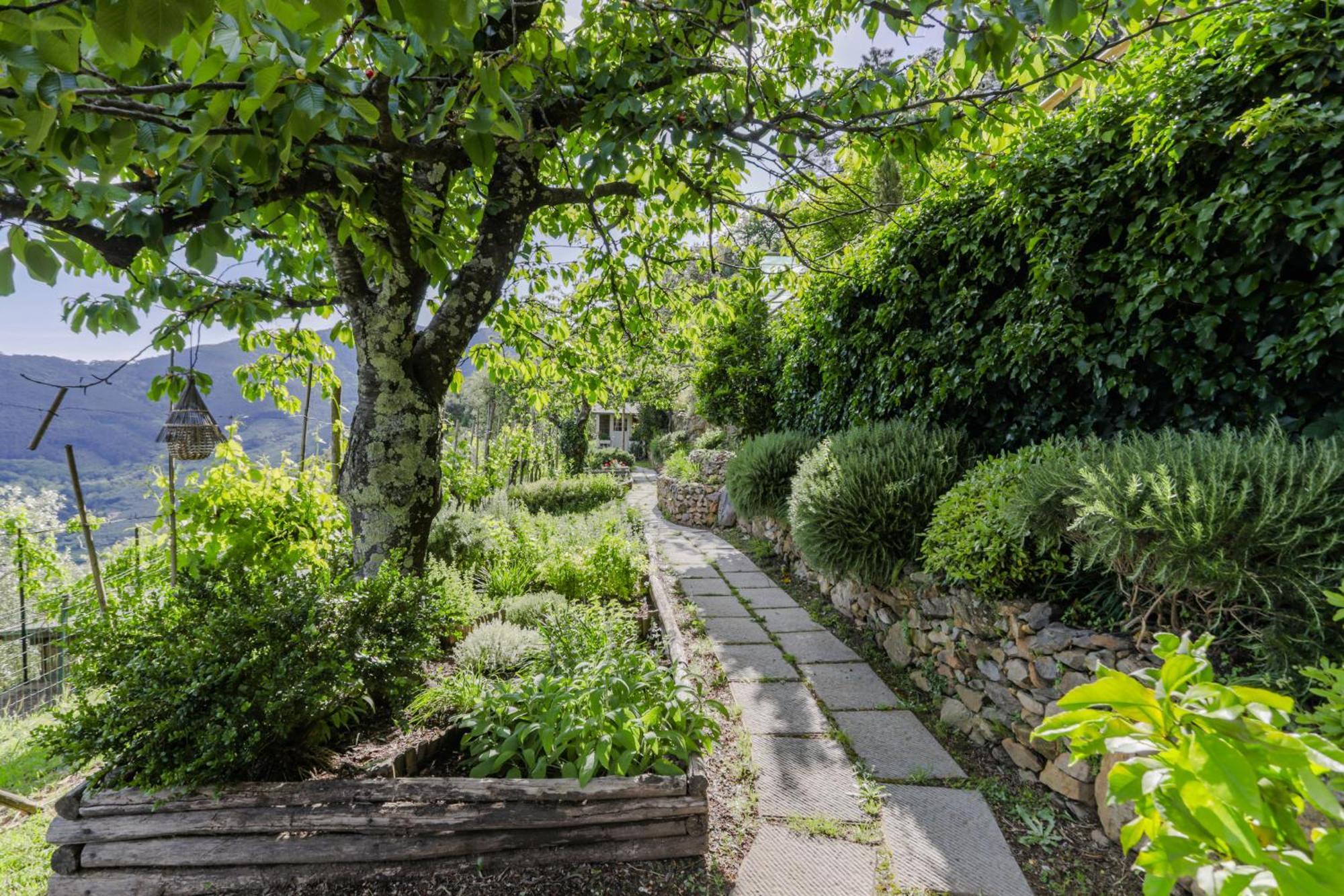 Villa Sii Felice Buti 외부 사진